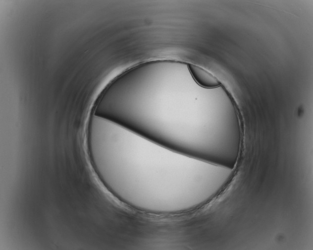 X0000102230949200807250805
