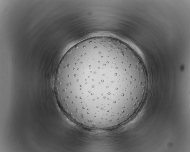 X0000102230953200807250806