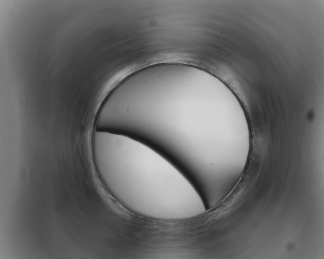 X0000102230954200807250806