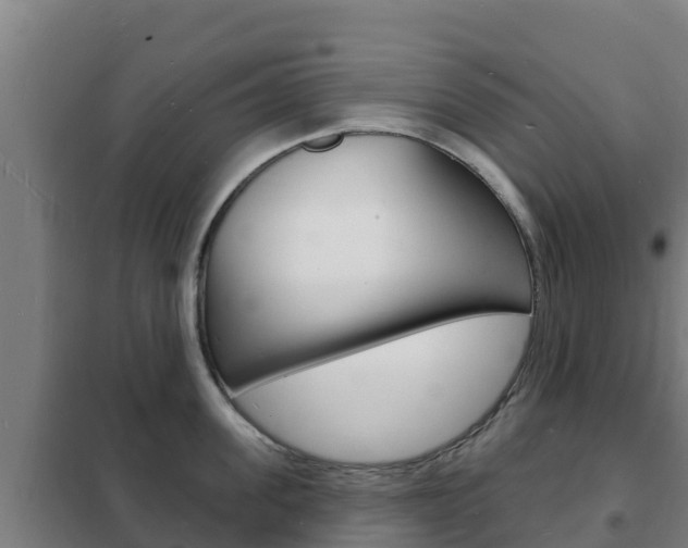 X0000102230955200807250806