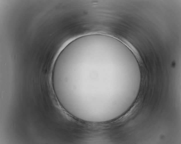 X0000102230956200807250806