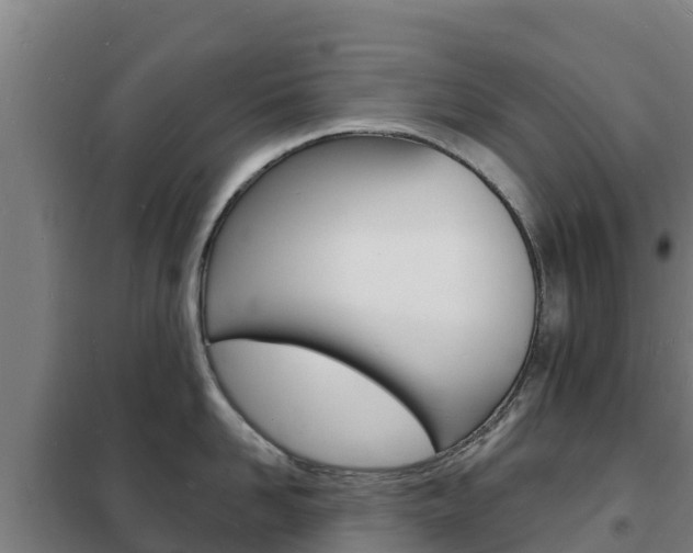 X0000102230958200807250806
