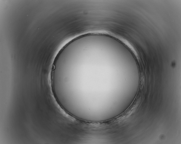 X0000102230959200807250806