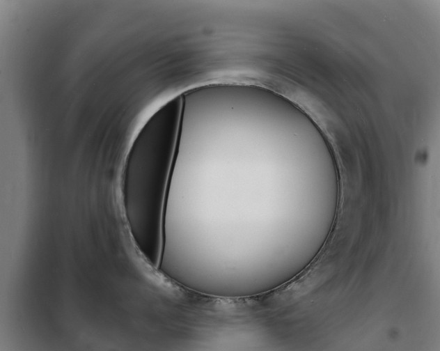 X0000102230960200807250806