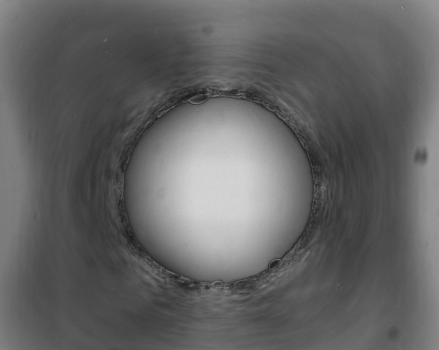 X0000102230961200807250805