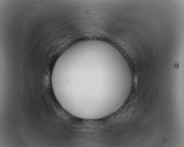 X0000102230963200807250805