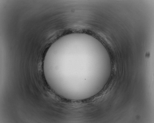 X0000102230964200807250805