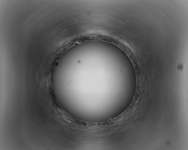 X0000102230965200807250805