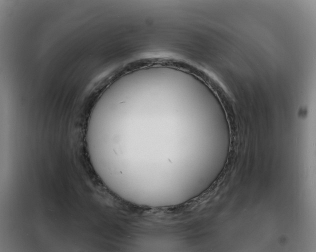 X0000102230967200807250805