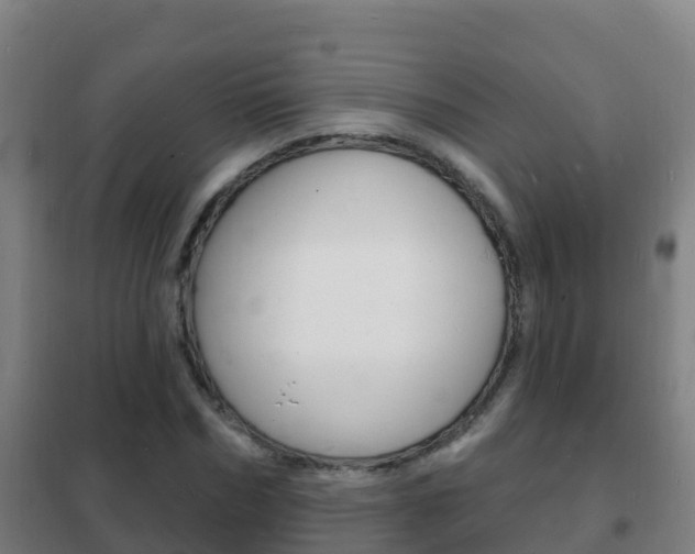 X0000102230970200807250805
