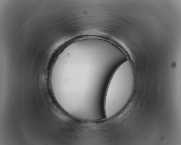 X0000102230971200807250805
