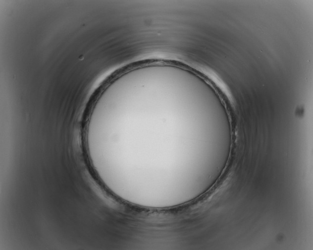 X0000102230972200807250805
