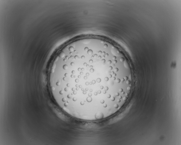 X0000102230974200807250805