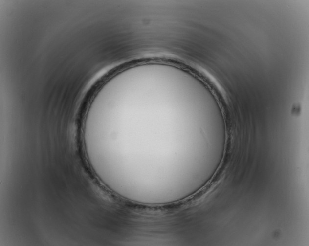 X0000102230975200807250805