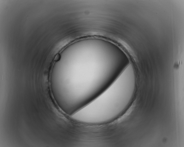 X0000102230977200807250805
