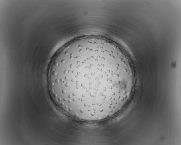 X0000102230978200807250805