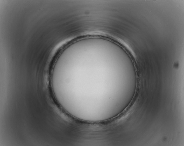 X0000102230979200807250805
