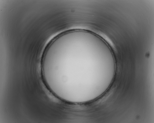 X0000102230980200807250805