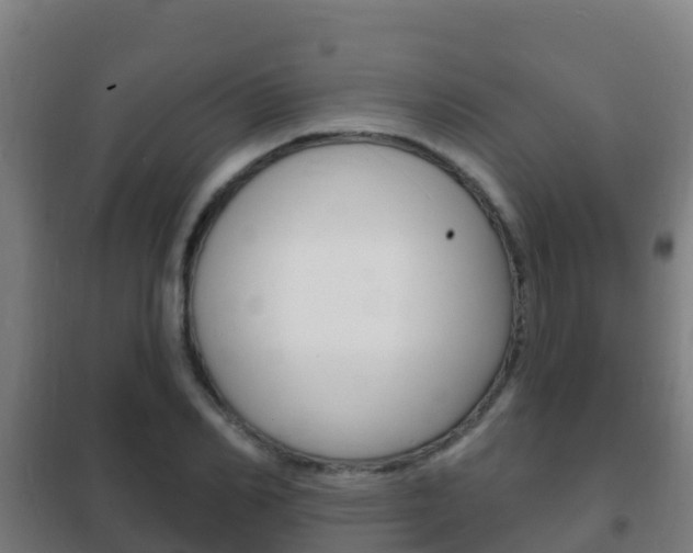 X0000102230982200807250805