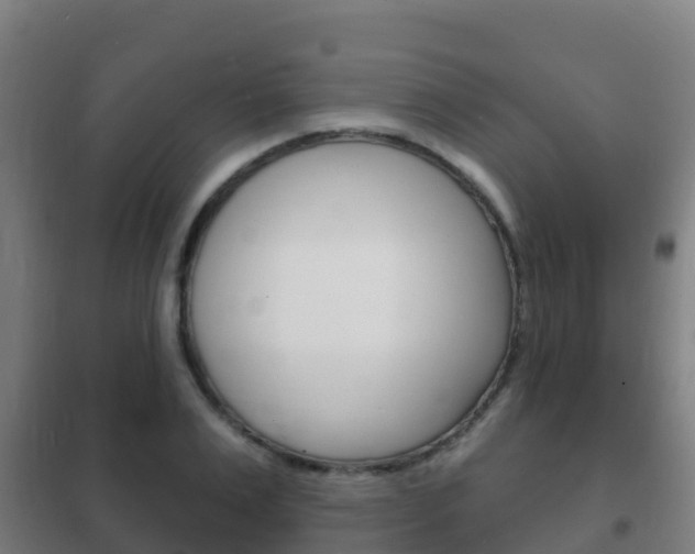 X0000102230983200807250805