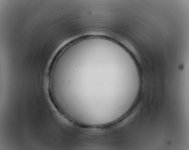 X0000102230984200807250804