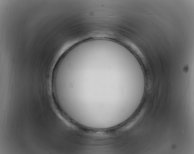 X0000102230986200807250804
