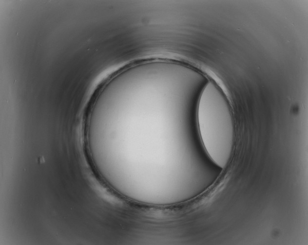 X0000102230987200807250804