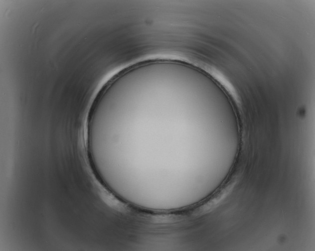 X0000102230988200807250804