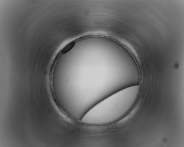 X0000102230989200807250804
