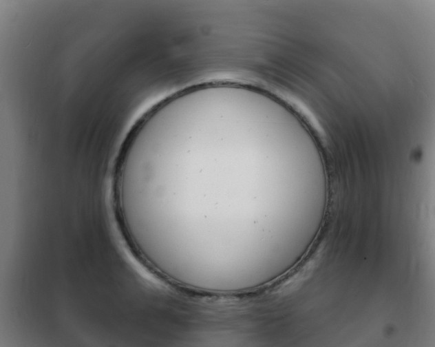 X0000102230991200807250804