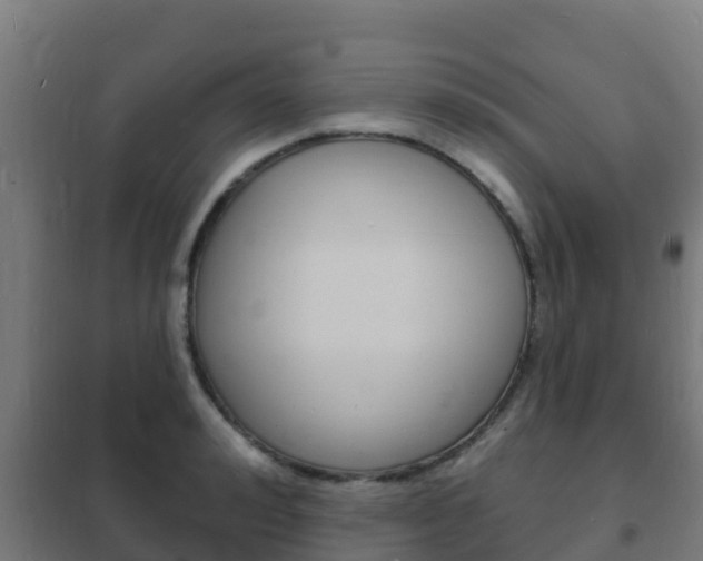 X0000102230992200807250804