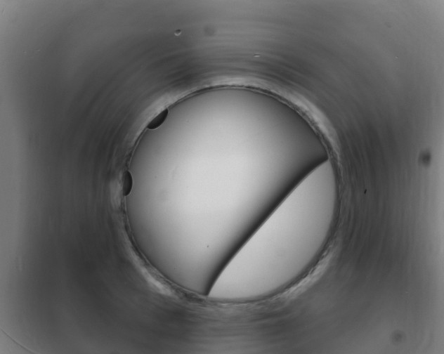 X0000102230993200807250804