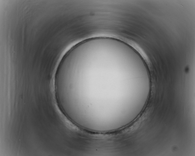 X0000102230996200807250804