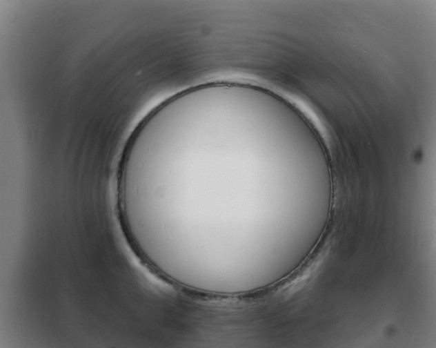 X0000102230999200807250804