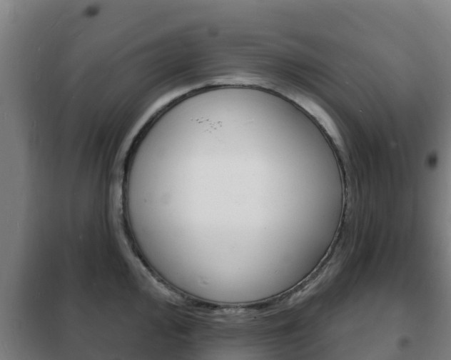 X0000102231000200807250804