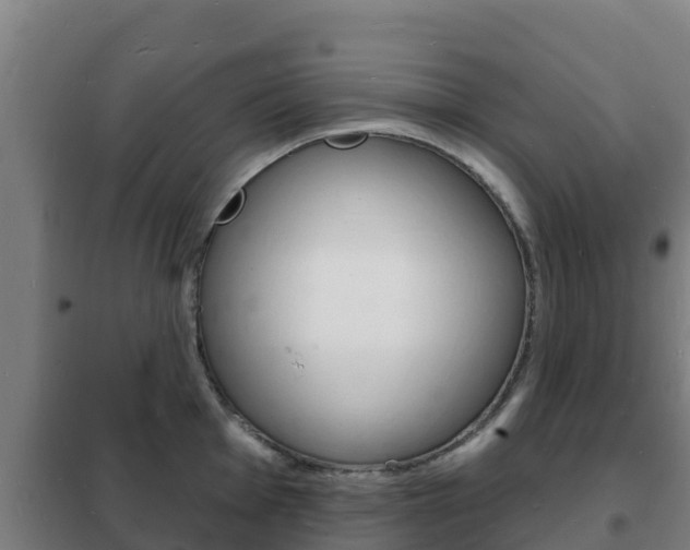 X0000102231001200807250804