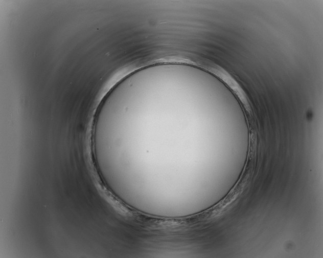 X0000102231002200807250804