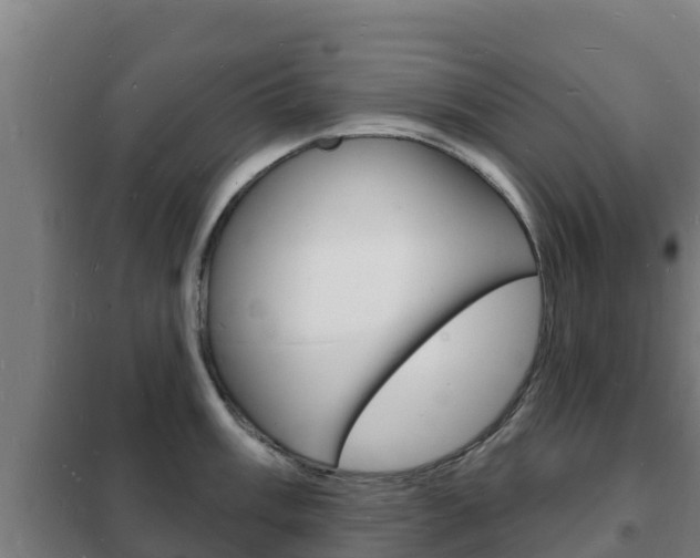 X0000102231003200807250804