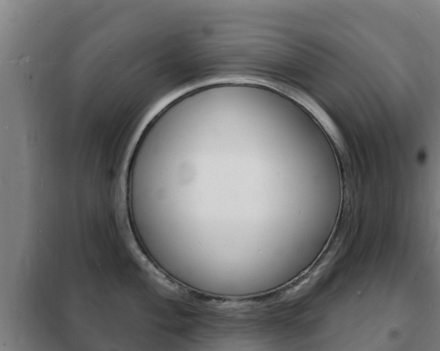 X0000102231004200807250804