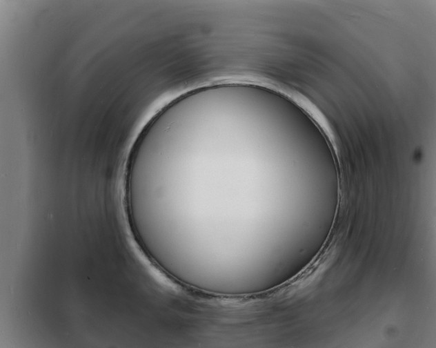 X0000102231005200807250804