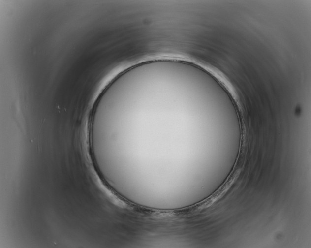 X0000102231006200807250804