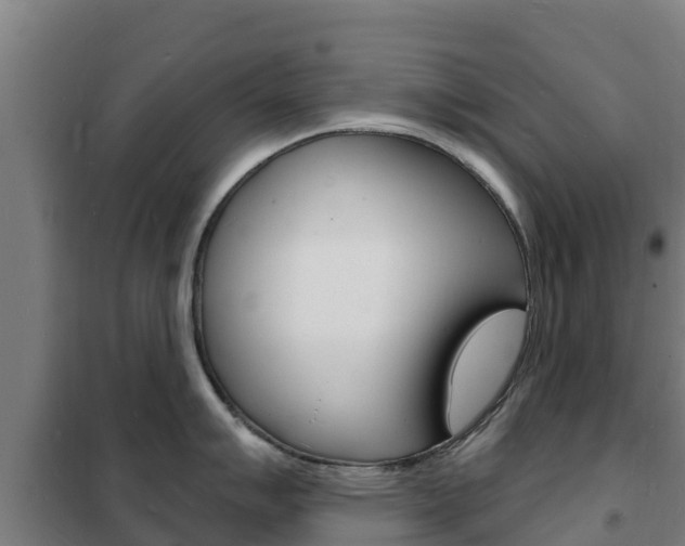 X0000102231007200807250804