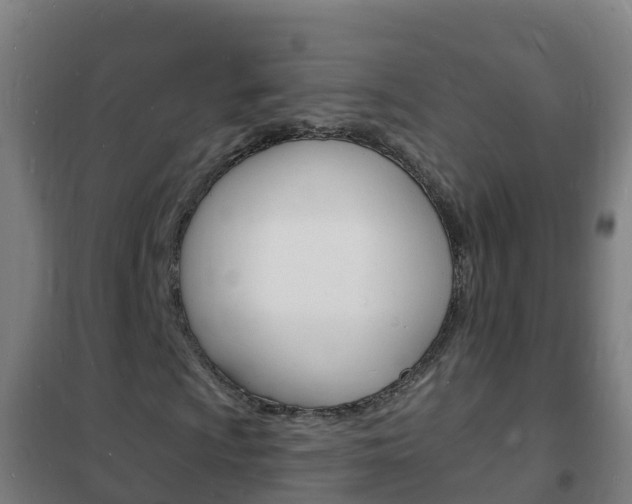 X0000102231009200807250803