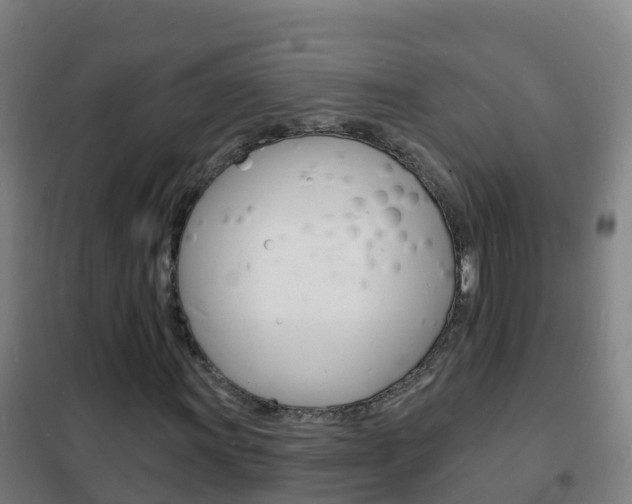 X0000102231011200807250803