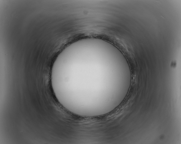 X0000102231012200807250803