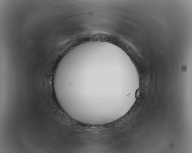 X0000102231013200807250803
