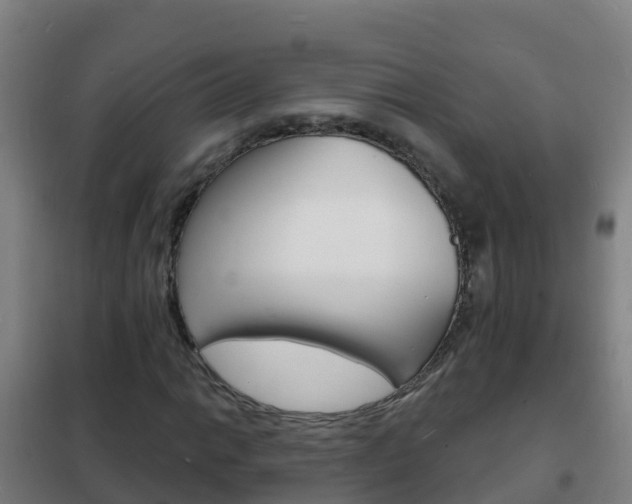 X0000102231014200807250803