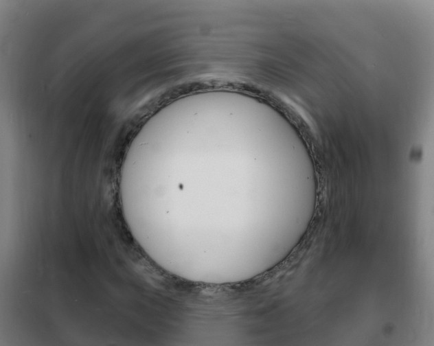 X0000102231015200807250803