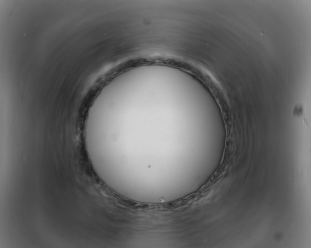 X0000102231016200807250803