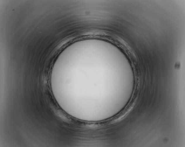 X0000102231017200807250803
